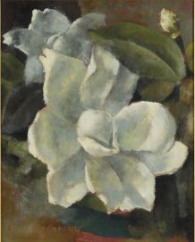 Magnolia