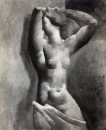 Torse rose
