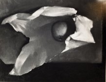 Papier et Pomme II