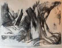 Troncs d'arbres